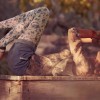 imagebam.com