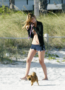 7129c761373293.gif