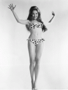 b6b6f261442342.gif
