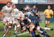 51003b62016859.gif
