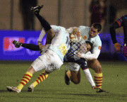6a507962949429.gif