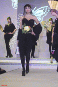 62f36465331672.gif