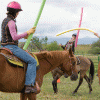 67e9b267043803.gif