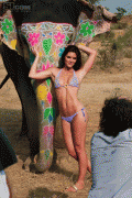 4e86d667386899.gif