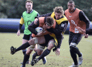 8d1ffc67520143.gif