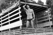 imagebam.com