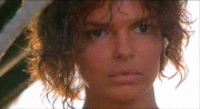 c04b3d71234741.gif