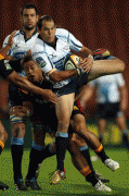 42c40075690556.gif