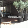 free image host
