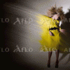 9de5e578728972.gif