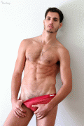 Fernando Sippel