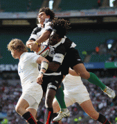 48166582625230.gif