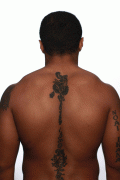 64a70082696125.gif