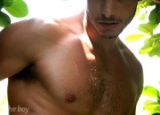 Fernando Casarin