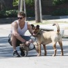imagebam.com